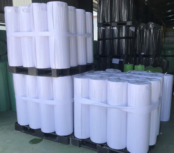 CÔNG TY TNHH XUẤT NHẬP KHẨU BIỂN XANH